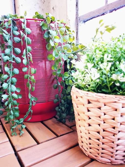 Sunny Flat 50 Meters From The Metro Apartment Milan Bagian luar foto